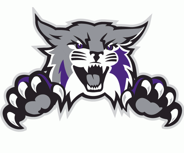 Weber State Wildcats 2012-Pres Alternate Logo diy iron on heat transfer